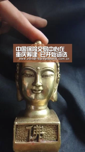 中国保险交易中心在重庆筹建 已开始遴选股东‘开云直播’(图1) 开云体育官网