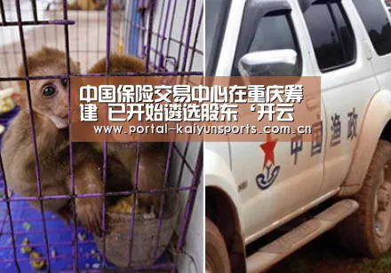 中国保险交易中心在重庆筹建 已开始遴选股东‘开云直播’(图3) 开云直播